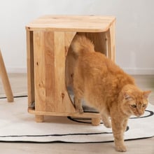 Connor Accent Stool